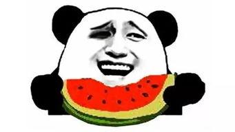 朝阳吃瓜群众网 热门大瓜今日吃瓜娜娜视频,娜娜视频揭露今日热门大瓜